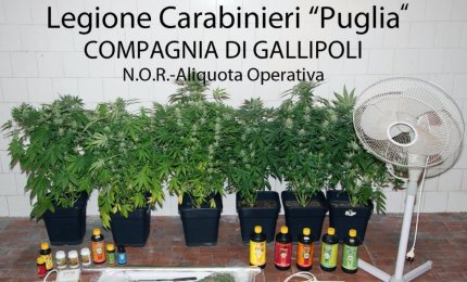 Coltivava marijuana in casa, arrestato galatinese