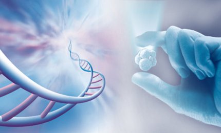 “L’etica clinica e la personalizzazione dell’assistenza”