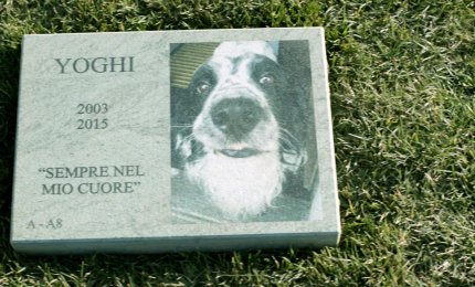 Un successo il primo cimitero per cani