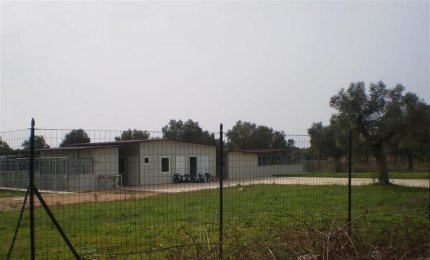 Il Sindaco ordina la chiusura del canile comunale di Contrada Latronica e il trasferimento dei cani