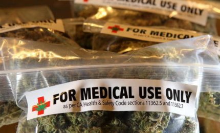 La cannabis per curarsi, in Puglia è realtà