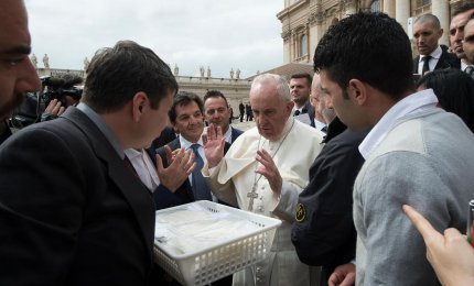 Ostie di Misericordia