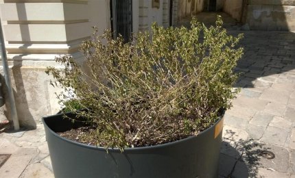 Fioriere, il brutto ha invaso Galatina