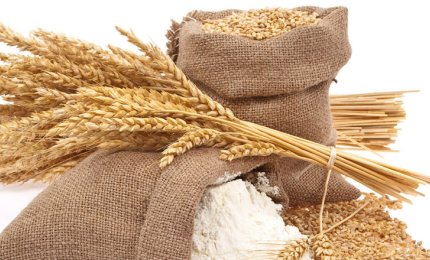 Individuato il meccanismo che determina la celiachia