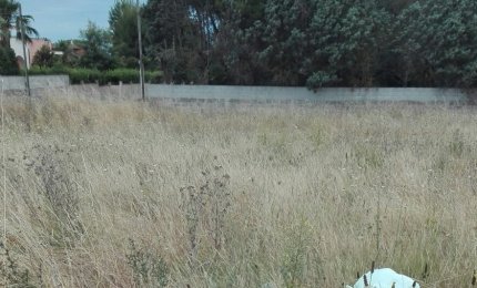 Scopre chi aveva buttato i rifiuti sul suo terreno e chiama i Vigili. Scatteranno le severe sanzioni previste dall'Ordinanza sindacale