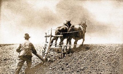 Lascia che i morti seppelliscano i loro morti