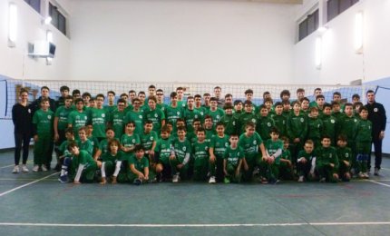 Showy, un ottimo bilancio di stagione