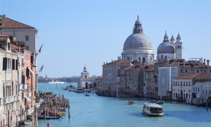 I pali lignei a Venezia