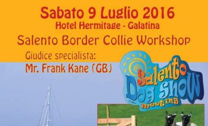 Più di mille cani all'Hermitage per la XIII edizione del Salento dog show 