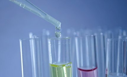 Gene Otx2, scoperta una sua funzione nelle cellule staminali