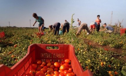 Attivato presidio medico per lavoratori migranti