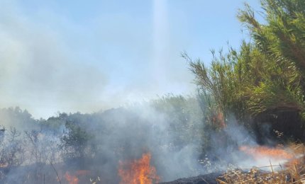 Incendio intorno al canale dell'Asso, un pomeriggio di paura per gli abitanti della zona