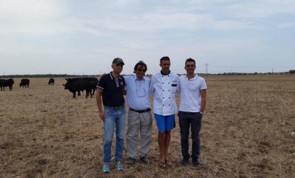 L'angus salentino alla conquista degli Usa