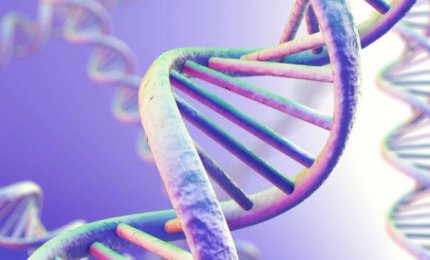 Come cresce la cellula