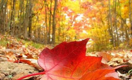 Il piacere di non lasciarsi