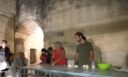 Alla scoperta del vino vegano