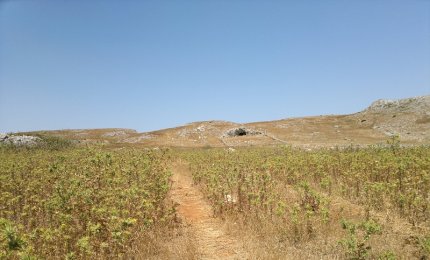 Una giornata alternativa