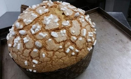 A Specchia il miglior panettone artigianale del Sud Italia 