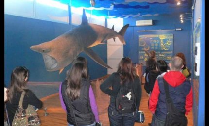 Festa finale per il 50esimo anniversario del Museo di Biologia Marina