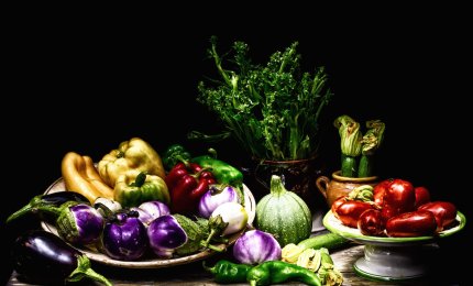 Naturarte, nel Castello di Gallipoli la mostra fotografica