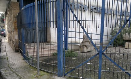 Il copertone non c'è più. La teoria delle finestre rotte