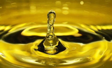 L'Olio Extravergine fa Festa