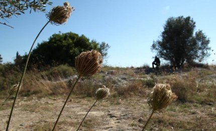 “Nella terra di mezzo”  alla 'Città del libro'