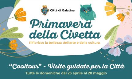 Primavera della civetta