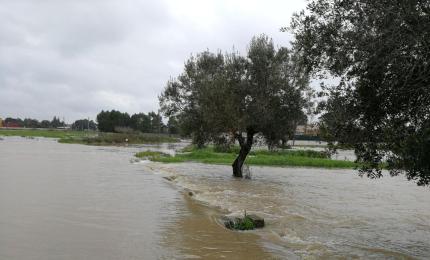 Esondazione torrente Asso 26 febbraio 2018
