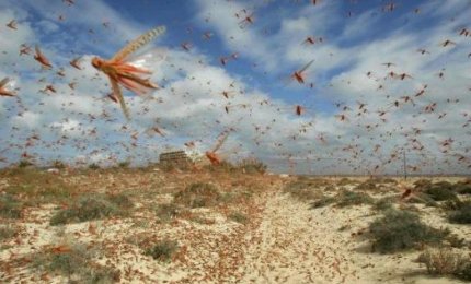 La realtà delle piaghe d'Egitto