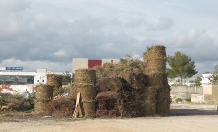 Ricostruita più grande la focara di Maglie distrutta dai vandali