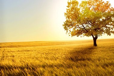 Natura: madre generosa o spietata matrigna?