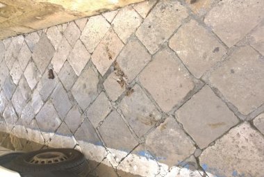 "Papà, chi fa la cacca per strada?"