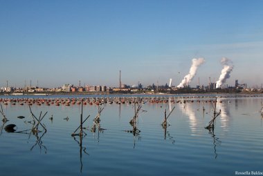 I batteri riducono l'inquinamento del Mar Piccolo di Taranto