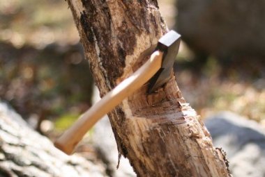 Già la scure è posta alla radice degli alberi