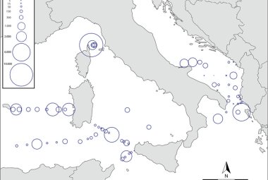 La plastica nel Mediterraneo