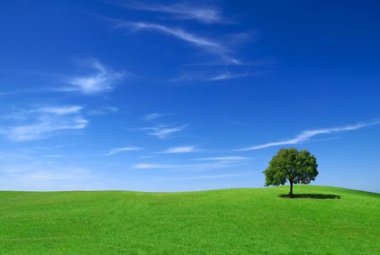 Al via le Giornate di promozione della cultura scientifica in campo ambientale