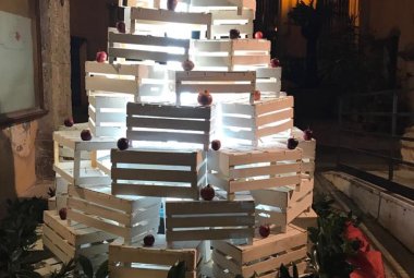 Al Polo 2 un albero "in cassetta"