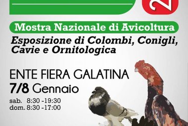 "Mediterranea Winner" arriva a Galatina