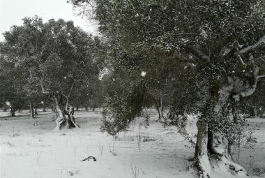 "Non mettetevi in viaggio!" Allarme neve in tutto il Salento