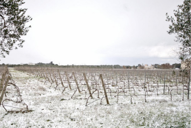 Neve, dalle Marche al Salento passando da "Radio Azzurra"
