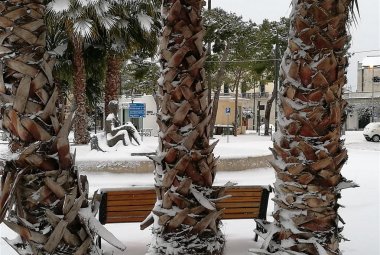 La neve di Alice