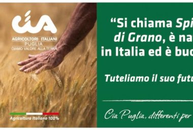 Campagna per tutelare l’#agricolturaitaliana100x100
