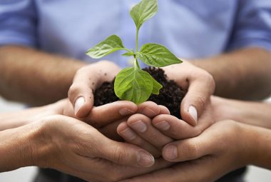 Salute e rispetto per l'ambiente si imparano a scuola