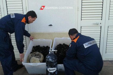 Avevano raccolto 1000 ricci in area marina protetta, denunciati due pescatori di frodo