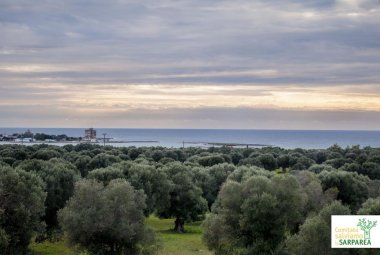 Sarparea, quale ricaduta occupazionale?