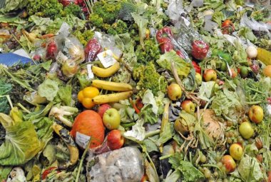 Ridurre lo spreco di cibo si può. Un'indagine di Coldiretti