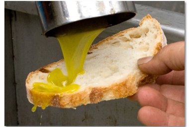 Un corso per assaggiatori di olio