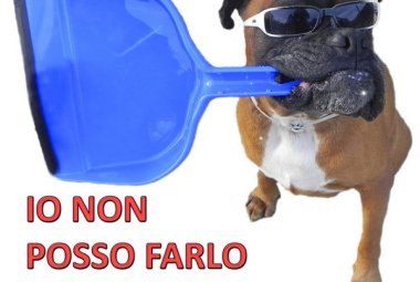 Firmata una convenzione con le Guardie Zoofile, dovranno sanzionare anche chi non raccoglie le deiezioni del proprio cane
