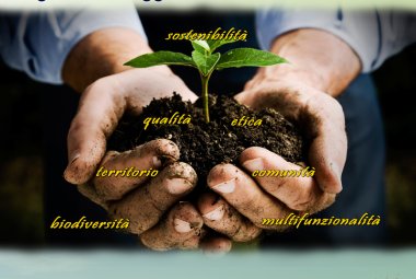 Agricoltura oggi, un convegno a Collemeto